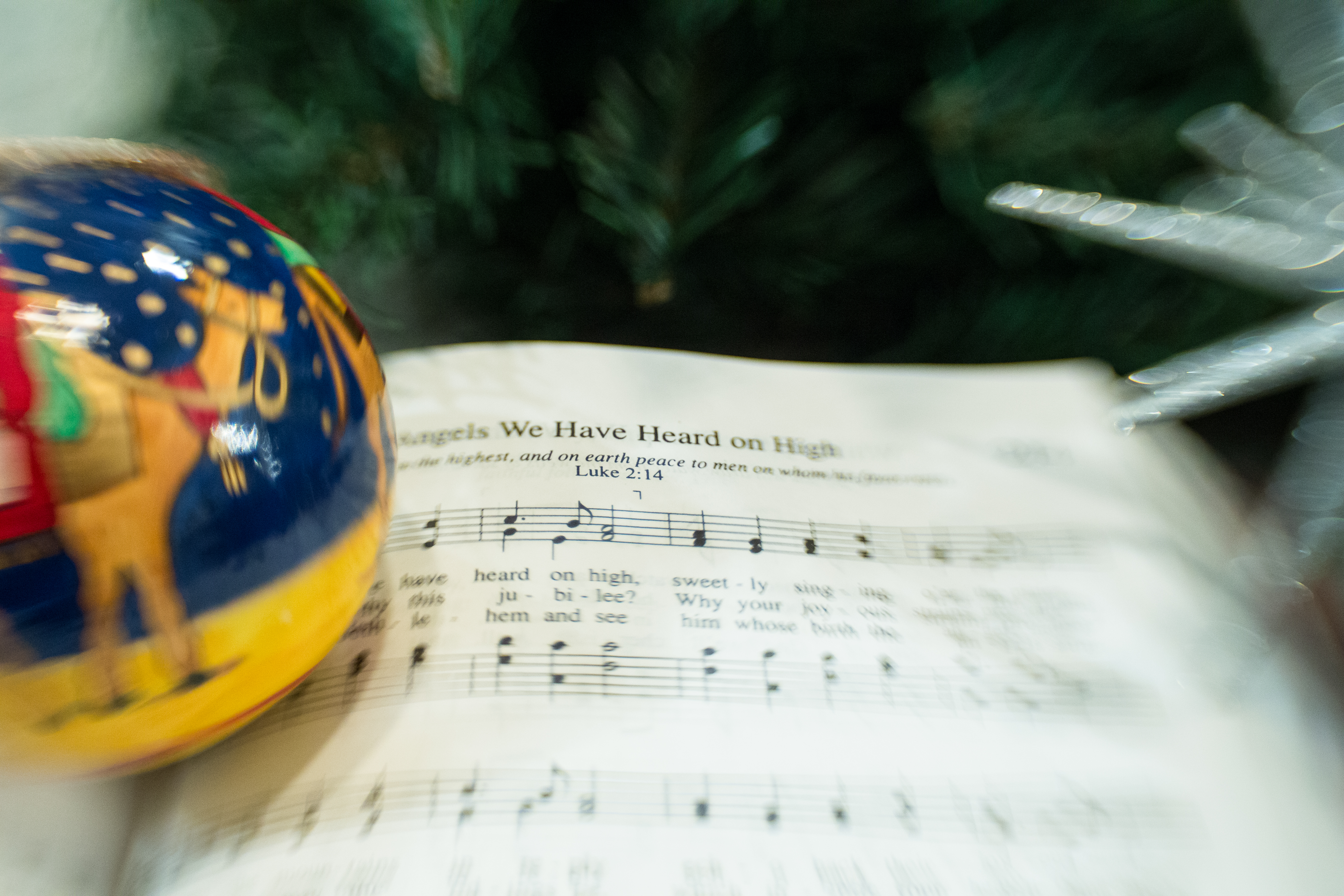 Featured image of post We Wish You a Merry Christmas