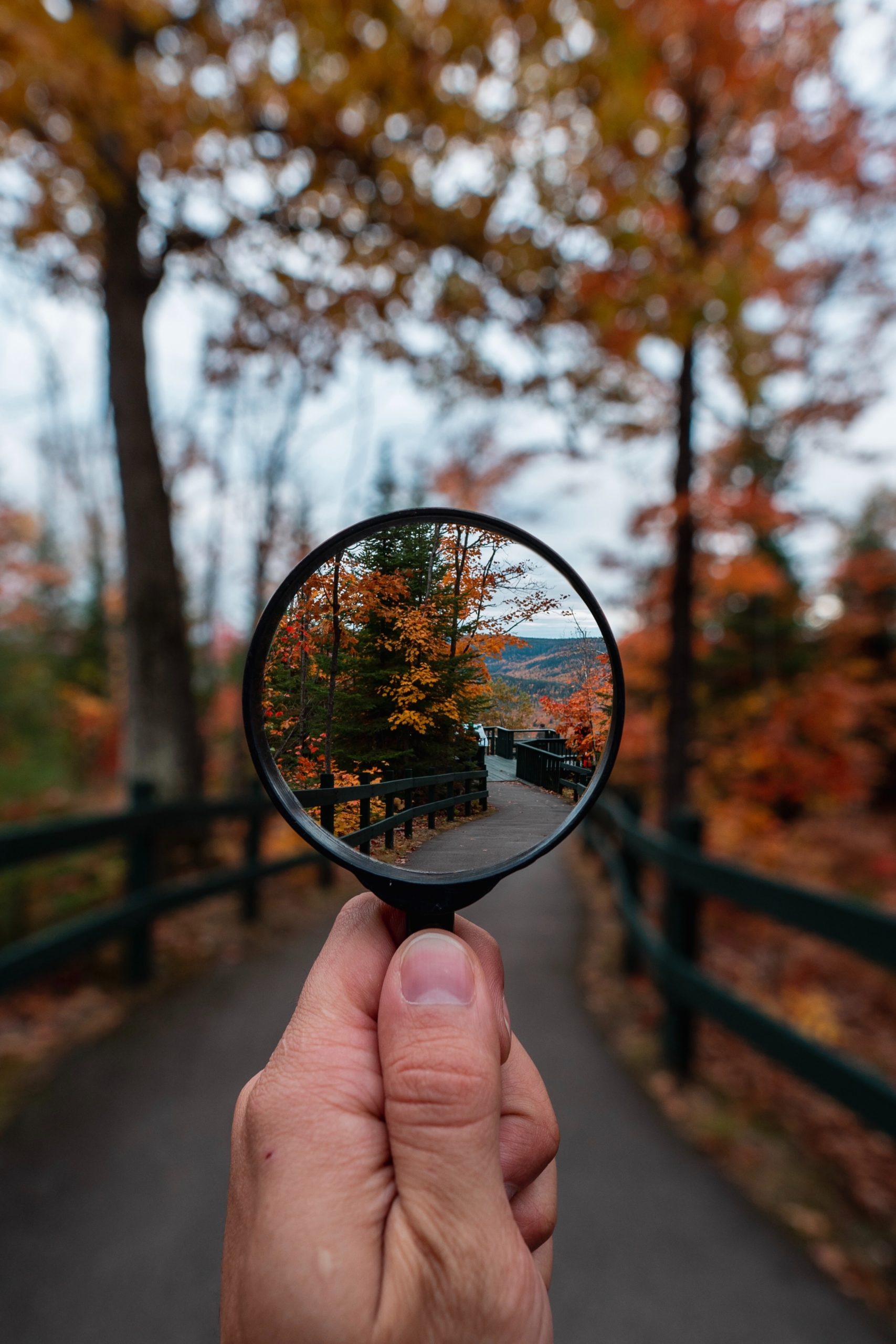 Exegetical Inquiry: The Question is more important than the Answer